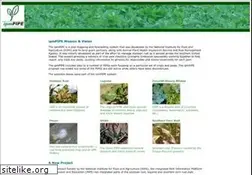 Sites similar to ipmpipe.org