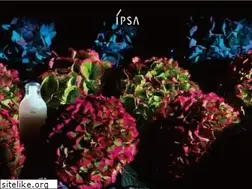 Sites similar to ipsa.co.jp