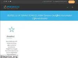 Sites similar to ipucukoleji.com.tr