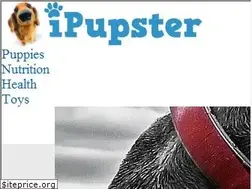 Sites similar to ipupster.com