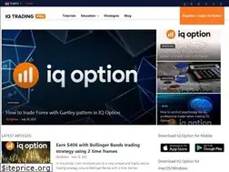 Sites similar to iqtradingpro.com