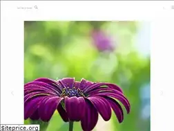 Sites similar to iranfacil.com