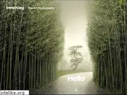 Sites similar to irenekung.com