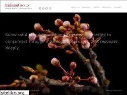 Sites similar to iridiumgroup.com