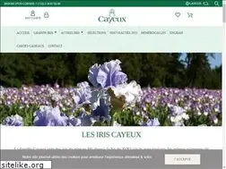 Sites similar to iris-cayeux.com