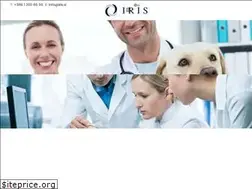 Sites similar to iris.si