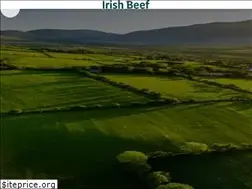Sites similar to irishbeef.de
