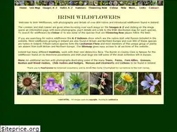 Sites similar to irishwildflowers.ie