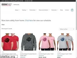 Sites similar to ironfist.com