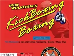 Sites similar to ironwolverines.com