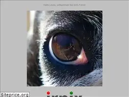 Sites similar to irpix.de