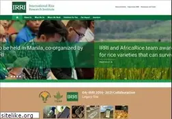 Sites similar to irri.org