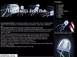 Sites similar to irukandjijellyfish.com