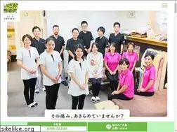 Sites similar to isao-seikotsuin.com