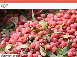 Sites similar to isapars.ir