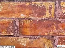 Sites similar to isipinoytek.wordpress.com