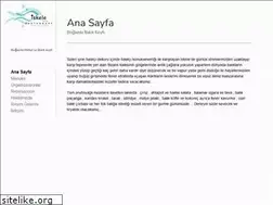 Sites similar to iskelebalik.com