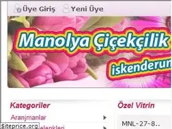 Sites similar to iskenderunmanolyacicekcilik.com