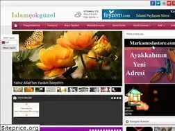 Sites similar to islamcokguzel.com