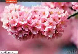 Sites similar to islamhelpline.net