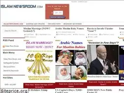 Sites similar to islamnewsroom.com