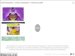 Sites similar to islandexposure.us