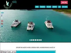 Sites similar to islandvibestours.com