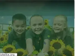Sites similar to ismanila.org