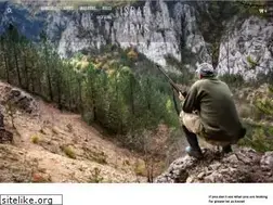 Sites similar to israelarms.com