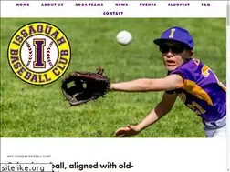 Sites similar to issaquahbaseballclub.org