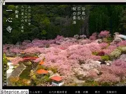 Sites similar to issinnji.jp