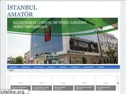 Sites similar to istanbulamator.com
