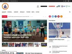 Sites similar to istanbulbbsk.org