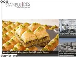 Sites similar to istanbulhides.com