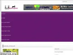 Sites similar to istanbulkopekegitimi.net