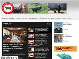 Sites similar to istanbulmanda.org