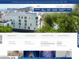 Sites similar to istanbulonko.com