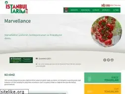 Sites similar to istanbultarim.com.tr