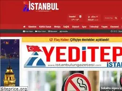 Sites similar to istanbulungazetesi.com