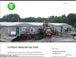 Sites similar to istiridyemantaritohumu.wordpress.com