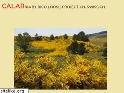 Sites similar to it-calabria.ch