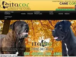 Sites similar to itacor.com.au