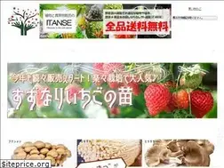 Sites similar to itanse.shop