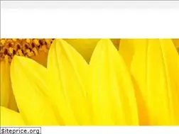 Sites similar to itcrcampinas.com.br