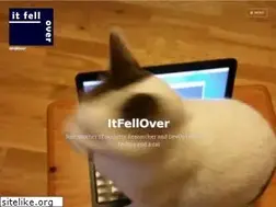 Sites similar to itfellover.com