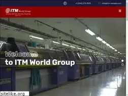 Sites similar to itmworldgroup.com