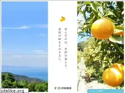 Sites similar to ito-noen.co.jp