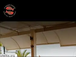 Sites similar to itrainsfishesbonaire.com