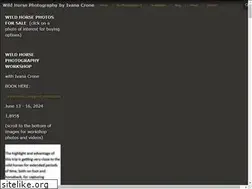 Sites similar to ivanacrone.com