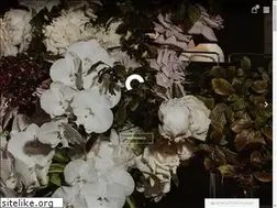 Sites similar to ivyandeve.com.au